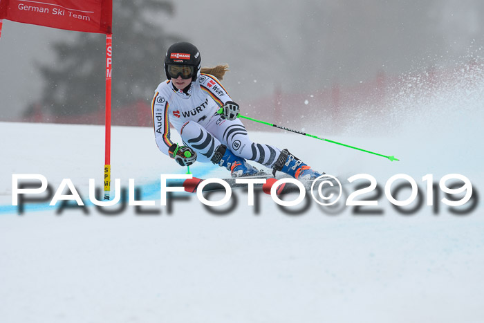 FIS + NJC Riesenslalom Damen + Herren 02.02.2019