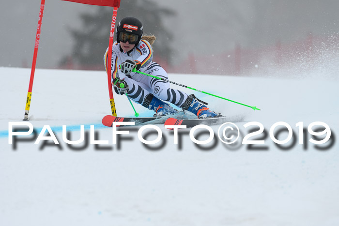 FIS + NJC Riesenslalom Damen + Herren 02.02.2019