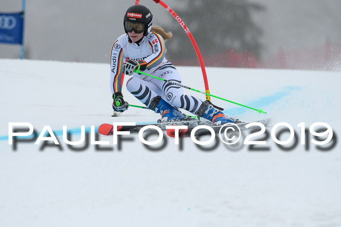 FIS + NJC Riesenslalom Damen + Herren 02.02.2019