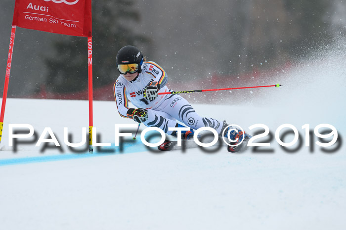 FIS + NJC Riesenslalom Damen + Herren 02.02.2019