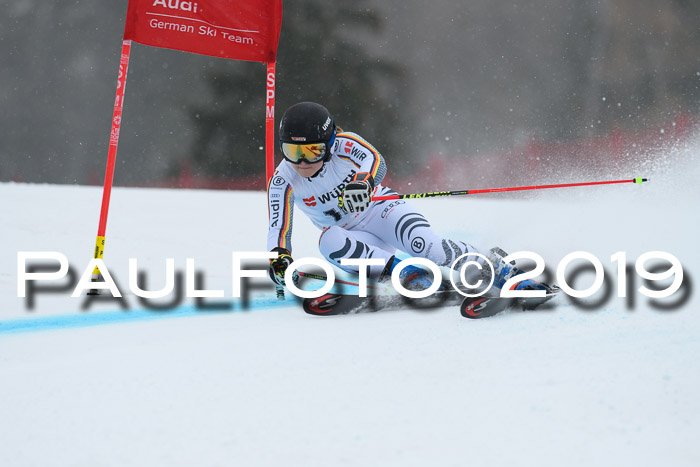 FIS + NJC Riesenslalom Damen + Herren 02.02.2019