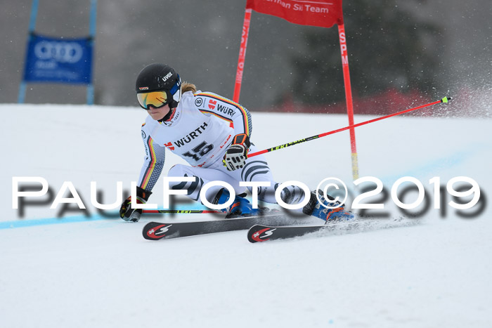 FIS + NJC Riesenslalom Damen + Herren 02.02.2019