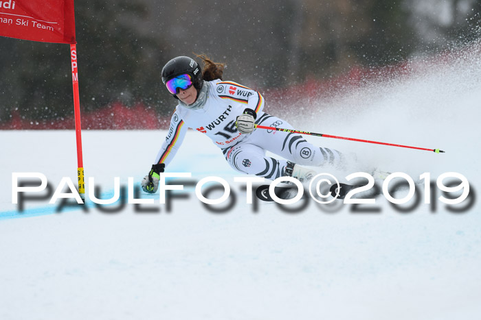 FIS + NJC Riesenslalom Damen + Herren 02.02.2019