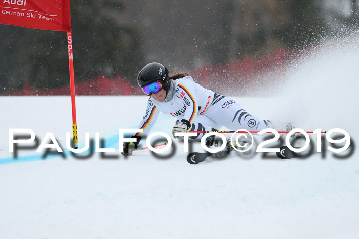 FIS + NJC Riesenslalom Damen + Herren 02.02.2019