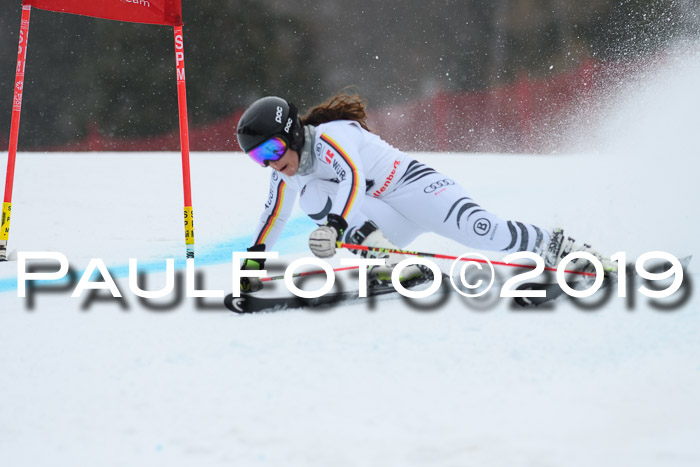 FIS + NJC Riesenslalom Damen + Herren 02.02.2019