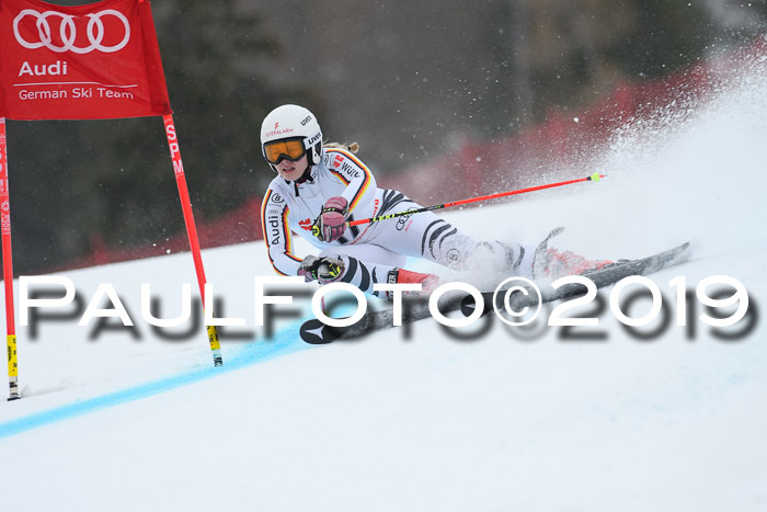 FIS + NJC Riesenslalom Damen + Herren 02.02.2019