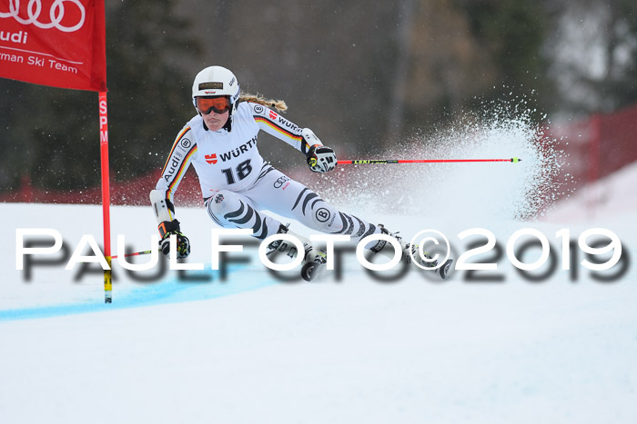 FIS + NJC Riesenslalom Damen + Herren 02.02.2019
