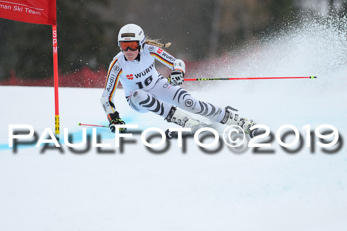 FIS + NJC Riesenslalom Damen + Herren 02.02.2019