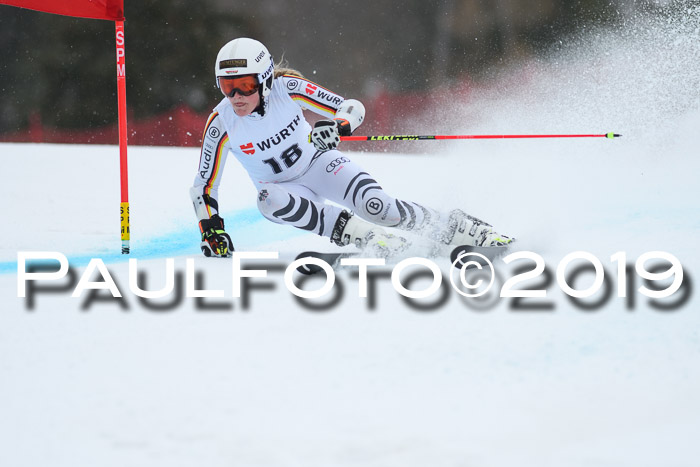 FIS + NJC Riesenslalom Damen + Herren 02.02.2019