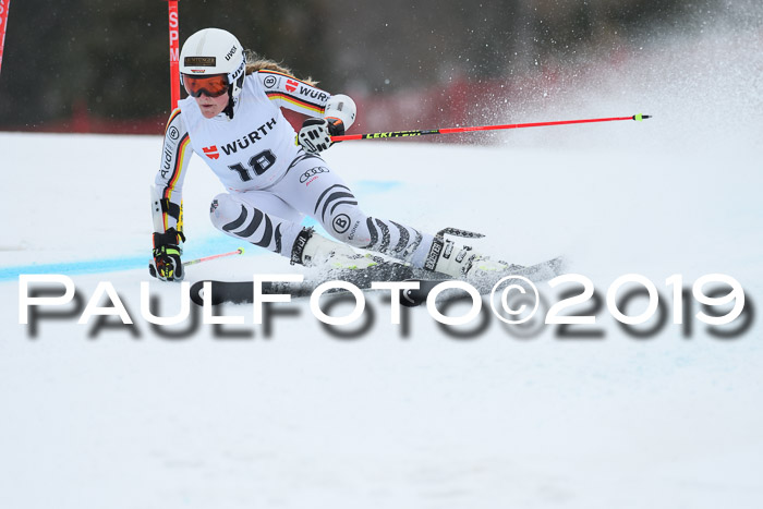 FIS + NJC Riesenslalom Damen + Herren 02.02.2019