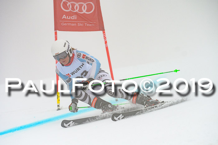 FIS + NJC Riesenslalom Damen + Herren 02.02.2019