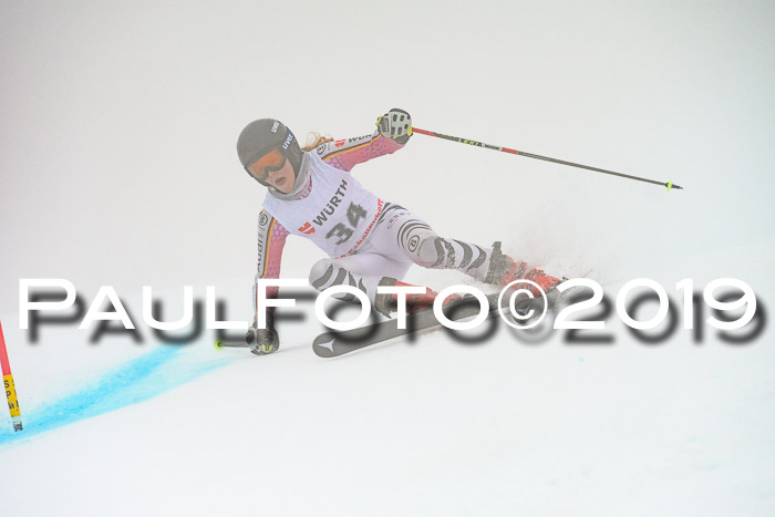 FIS + NJC Riesenslalom Damen + Herren 02.02.2019