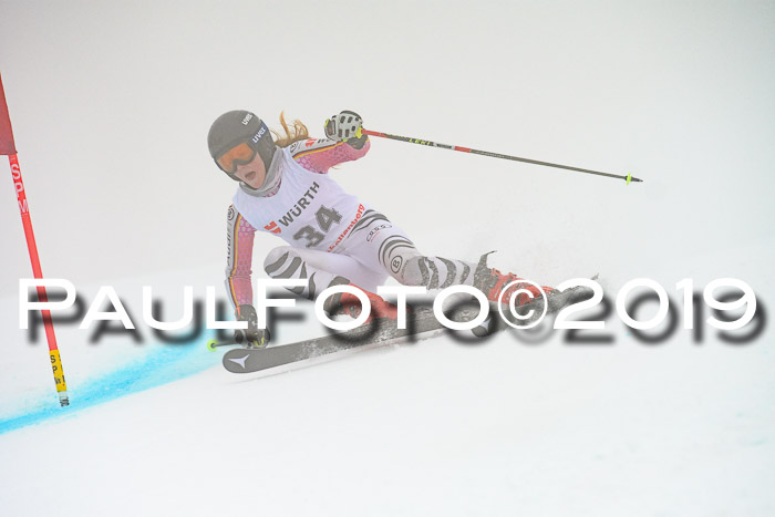 FIS + NJC Riesenslalom Damen + Herren 02.02.2019