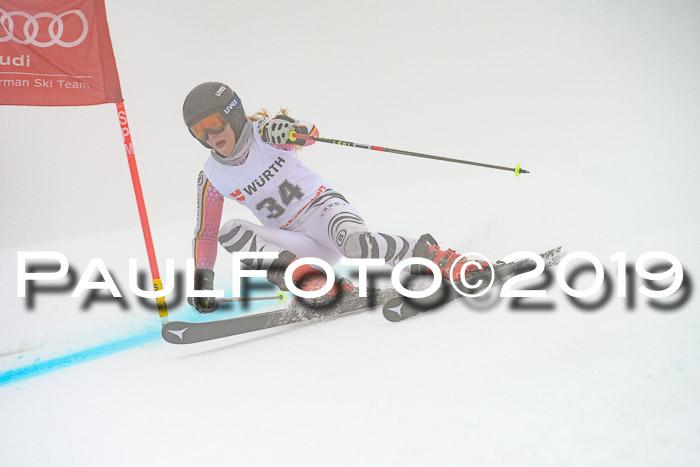 FIS + NJC Riesenslalom Damen + Herren 02.02.2019