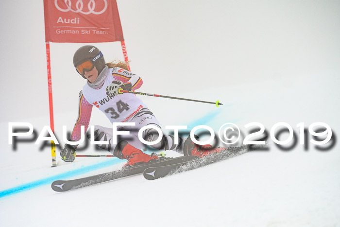FIS + NJC Riesenslalom Damen + Herren 02.02.2019