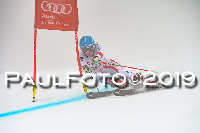 FIS + NJC Riesenslalom Damen + Herren 02.02.2019