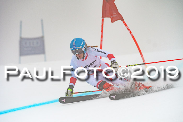 FIS + NJC Riesenslalom Damen + Herren 02.02.2019