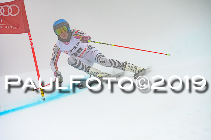 FIS + NJC Riesenslalom Damen + Herren 02.02.2019