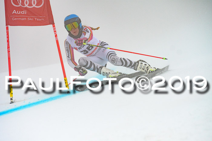 FIS + NJC Riesenslalom Damen + Herren 02.02.2019