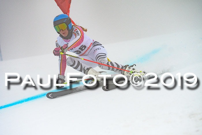 FIS + NJC Riesenslalom Damen + Herren 02.02.2019