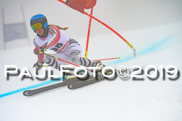 FIS + NJC Riesenslalom Damen + Herren 02.02.2019