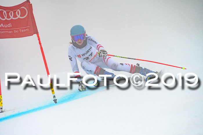FIS + NJC Riesenslalom Damen + Herren 02.02.2019