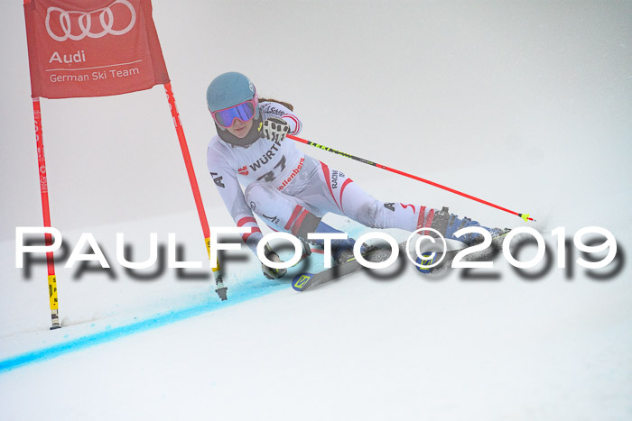 FIS + NJC Riesenslalom Damen + Herren 02.02.2019
