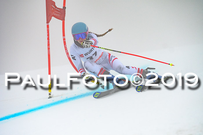 FIS + NJC Riesenslalom Damen + Herren 02.02.2019