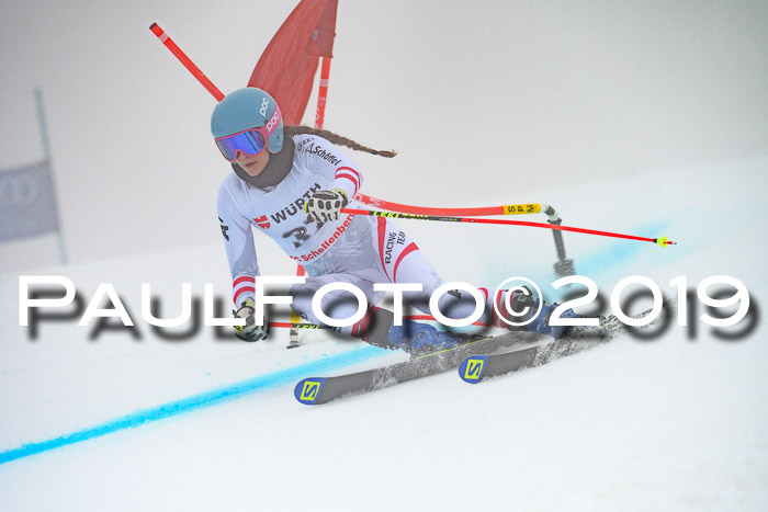 FIS + NJC Riesenslalom Damen + Herren 02.02.2019