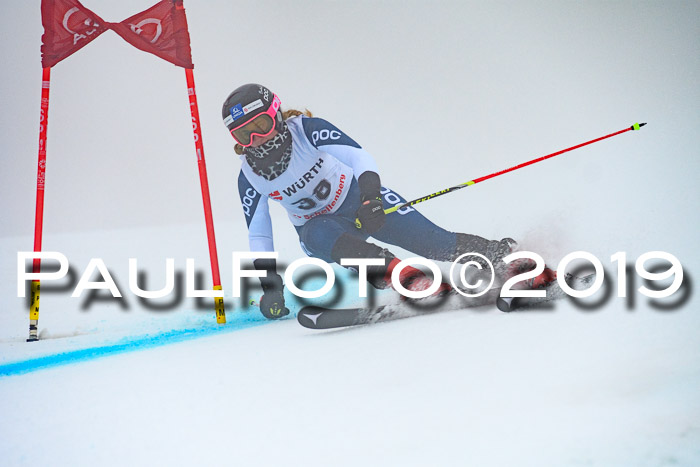 FIS + NJC Riesenslalom Damen + Herren 02.02.2019
