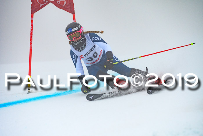 FIS + NJC Riesenslalom Damen + Herren 02.02.2019