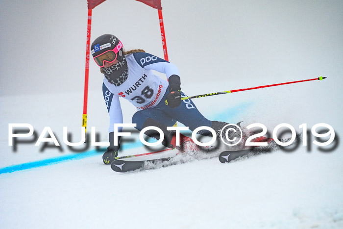 FIS + NJC Riesenslalom Damen + Herren 02.02.2019