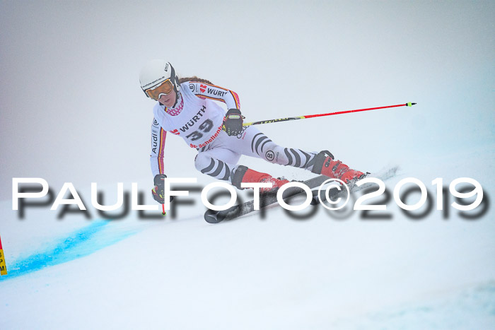 FIS + NJC Riesenslalom Damen + Herren 02.02.2019