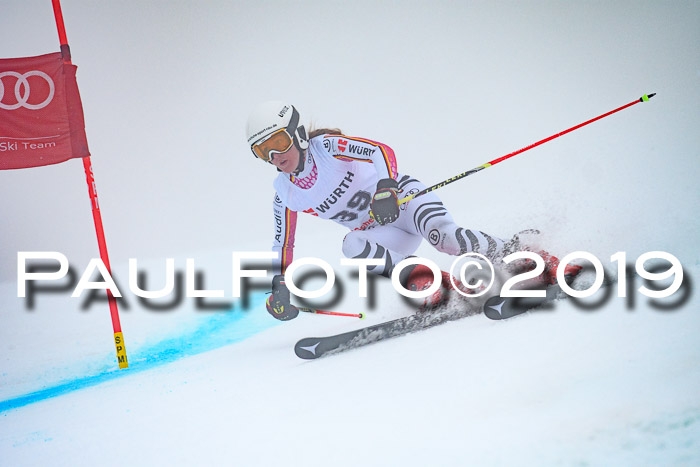 FIS + NJC Riesenslalom Damen + Herren 02.02.2019