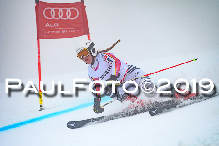 FIS + NJC Riesenslalom Damen + Herren 02.02.2019