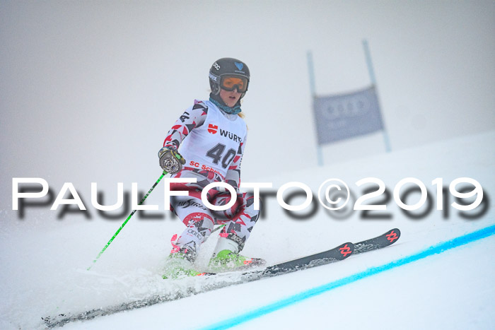 FIS + NJC Riesenslalom Damen + Herren 02.02.2019