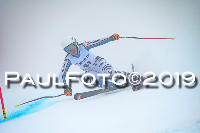 FIS + NJC Riesenslalom Damen + Herren 02.02.2019