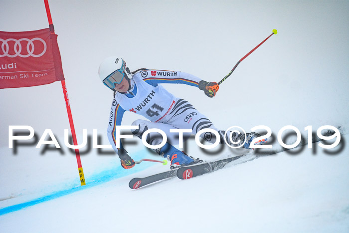 FIS + NJC Riesenslalom Damen + Herren 02.02.2019