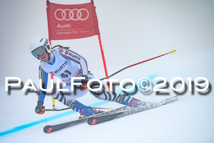 FIS + NJC Riesenslalom Damen + Herren 02.02.2019