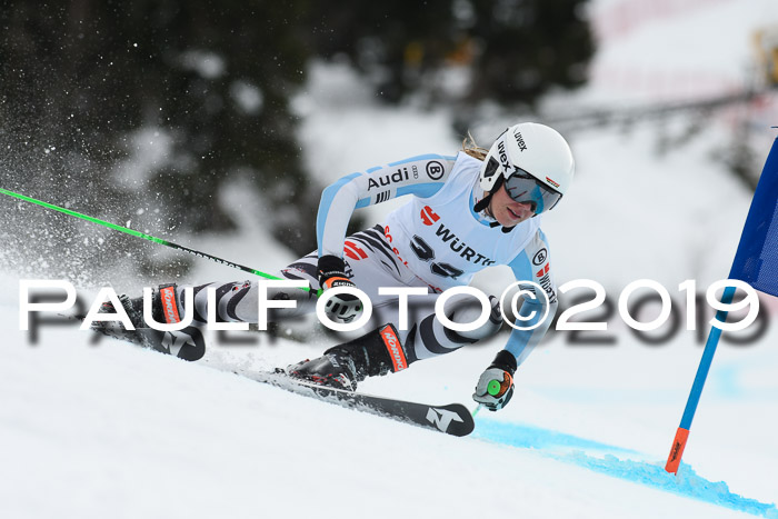 FIS + NJC Riesenslalom Damen + Herren 02.02.2019