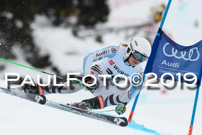 FIS + NJC Riesenslalom Damen + Herren 02.02.2019