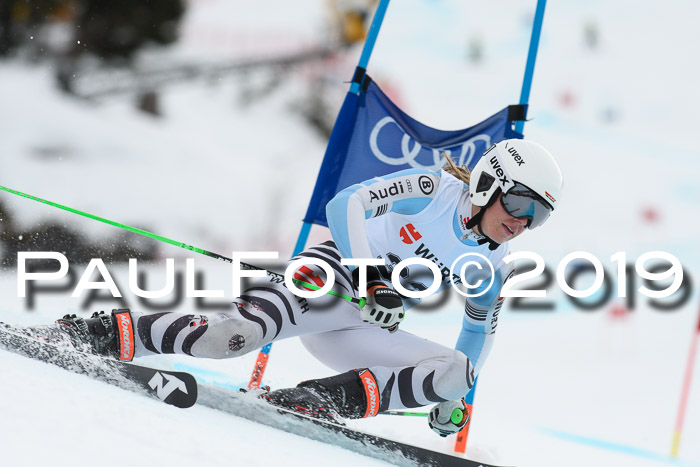 FIS + NJC Riesenslalom Damen + Herren 02.02.2019