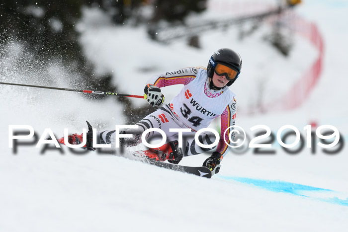 FIS + NJC Riesenslalom Damen + Herren 02.02.2019