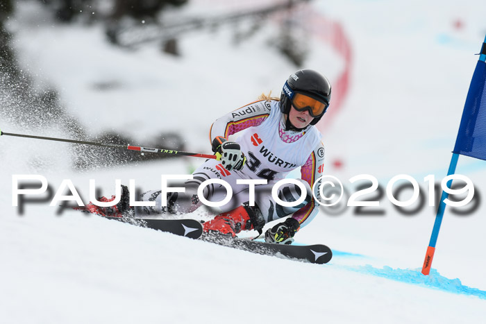 FIS + NJC Riesenslalom Damen + Herren 02.02.2019