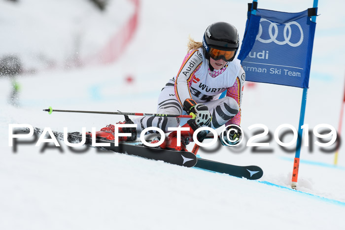 FIS + NJC Riesenslalom Damen + Herren 02.02.2019