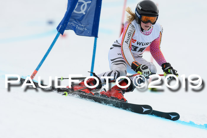 FIS + NJC Riesenslalom Damen + Herren 02.02.2019