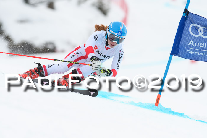 FIS + NJC Riesenslalom Damen + Herren 02.02.2019