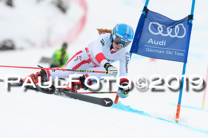 FIS + NJC Riesenslalom Damen + Herren 02.02.2019