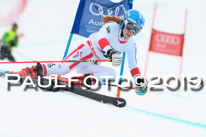 FIS + NJC Riesenslalom Damen + Herren 02.02.2019