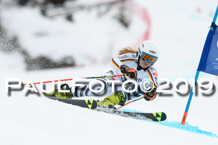 FIS + NJC Riesenslalom Damen + Herren 02.02.2019